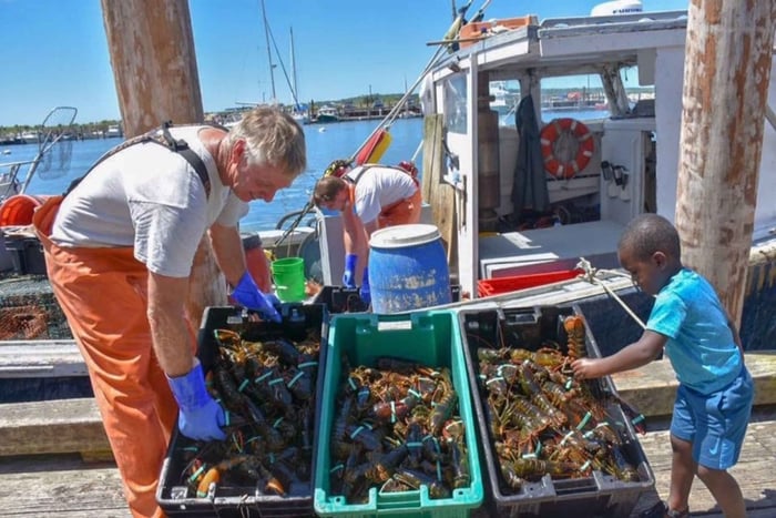 Kennebunkport Day Trip with Optional Lobster Tour