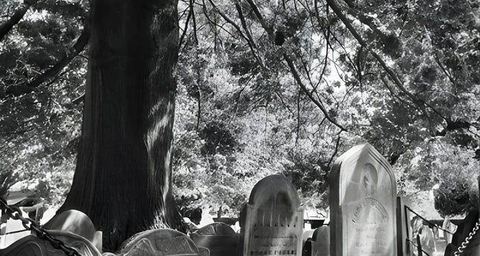 Requiem para o Tour a Pé de Fantasmas de Salem