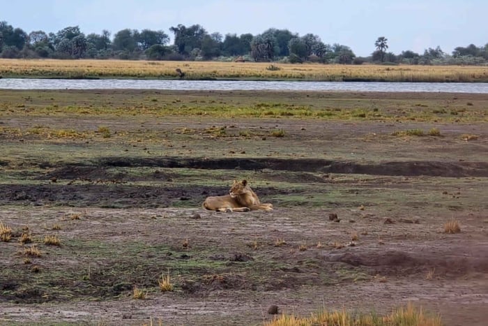 Chobe River Sunset Cruise
