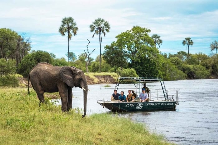 Fra Livingstone: Safaritur i Chobe nasjonalpark