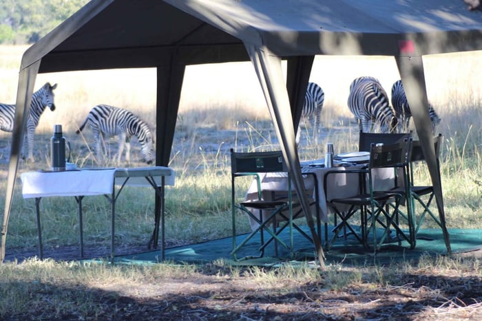 From Maun: Moremi Game Reserve Tour