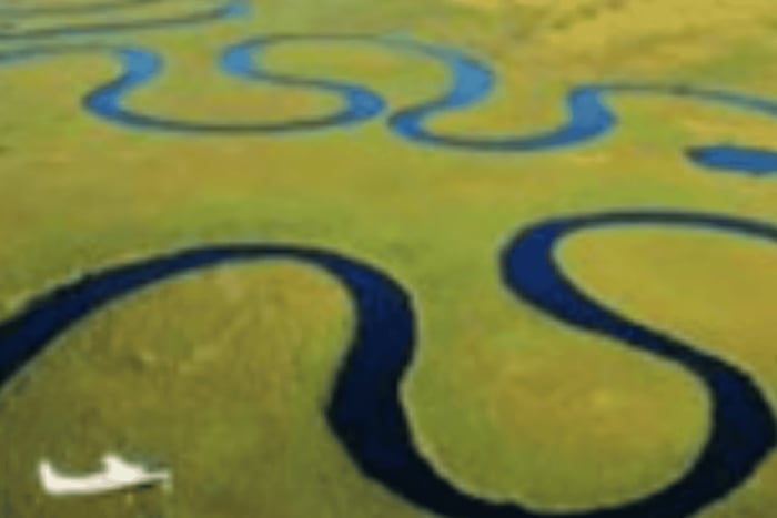Mokoro Day Trip at the Okavango Delta