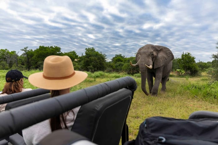 Viagem de 1 dia à Reserva de Caça de Moremi