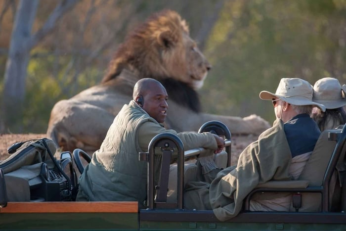 Die private Great Africa Escape 11 Tage, Kapstadt bis Chobe