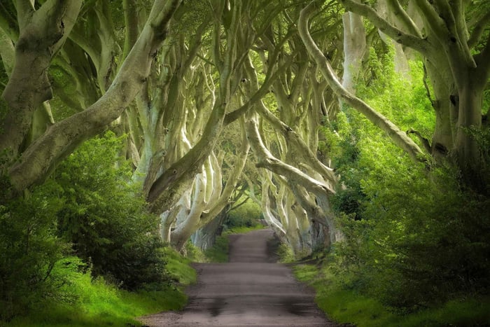 Irlanda: paseo a caballo por Juego de Tronos