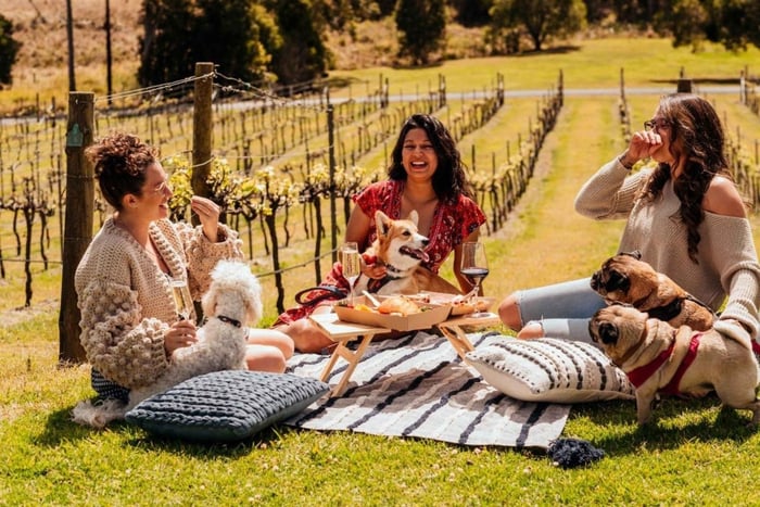 Brisbane: Picnic i vinmarkerne