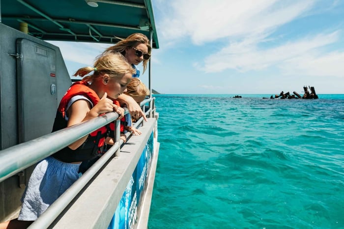 Ilha Moreton: Passeio de um dia em Tangalooma Cruzeiro de descoberta marinha