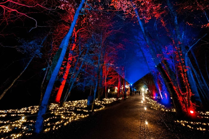 Ashton Court: Inngangsbillett til Luminate Light Trail