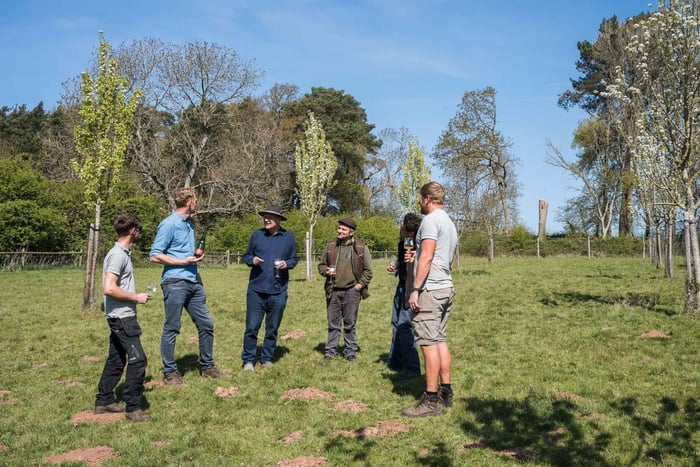Bristol: Wine and Cider Tour with Tastings