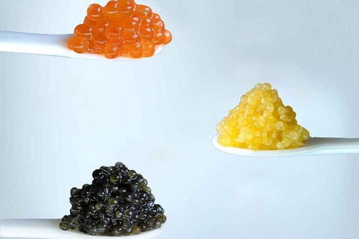 Exclusive Tasting at Polezhaev Caviar Boutique Budapest