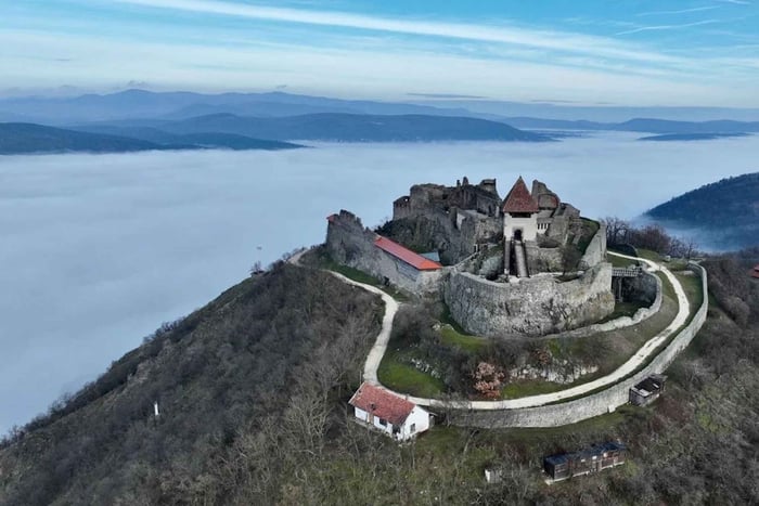 De Budapeste: Excursão Floresta Curva do Danúbio, Visegrad e Szentendre