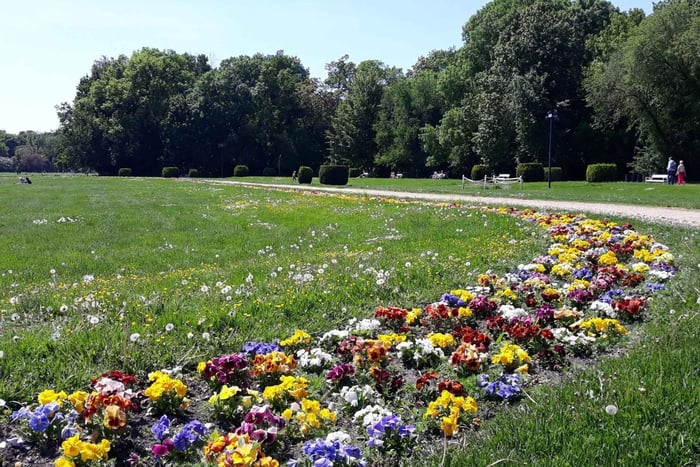 tour guidato di jogging e spettacolo di musica folk