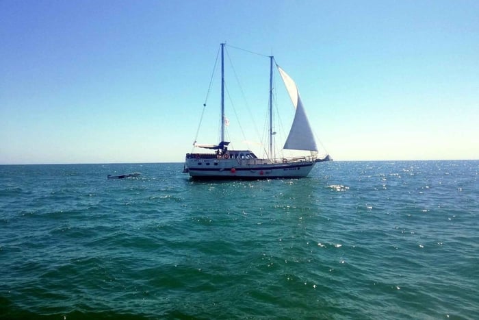 Balchik: 4-Hour Black Sea Cruise With Lunch and Drinks