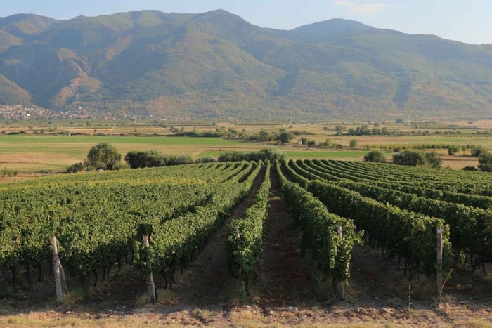 De Sofia: Excursão a Plovdiv e Vinhos da Trácia com Almoço