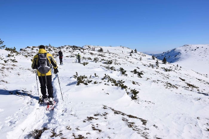 Sofiasta: Vitosha-vuoren lumikenkävaellus
