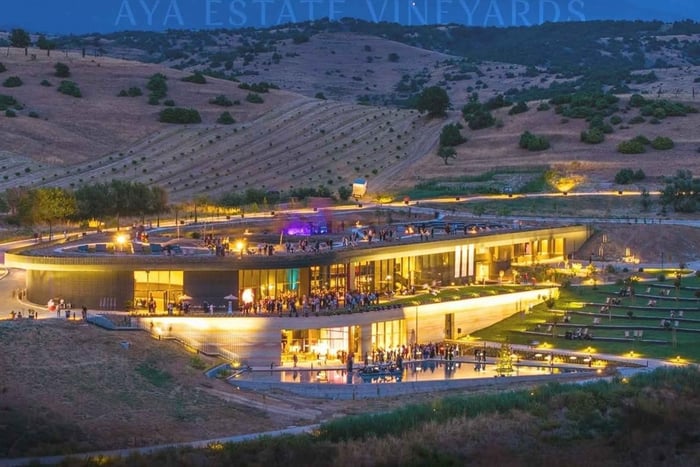 Harsovo: Wine Tasting & Tour, Harsovo Bulgaria Secrets