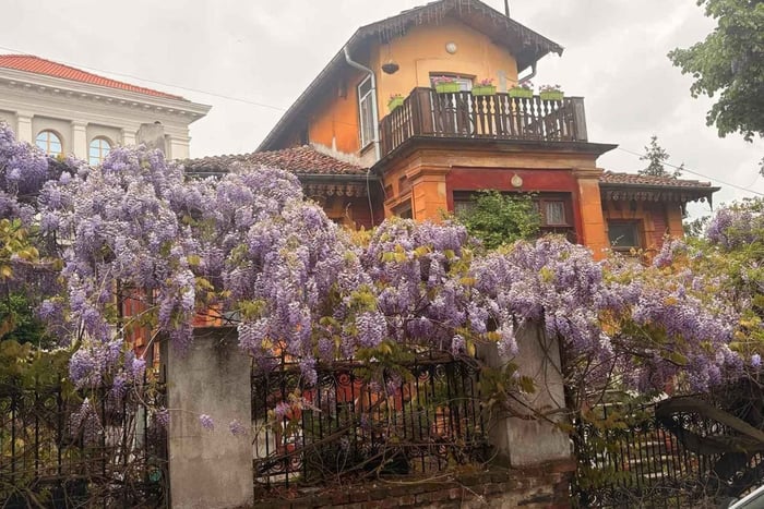 Plovdiv Tour & Bulgarian Authentic Village Life Experience