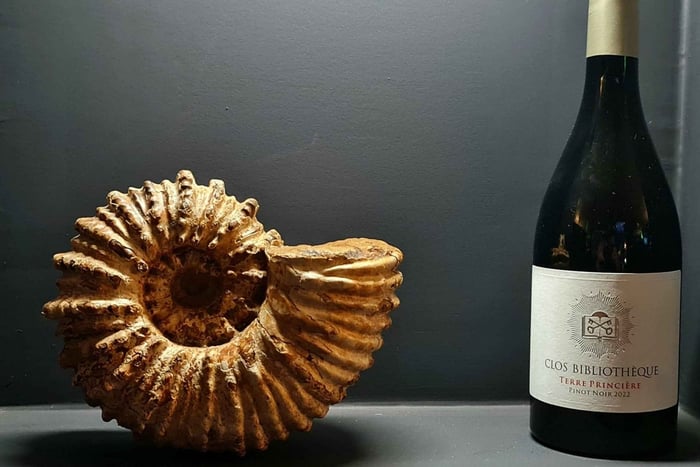 Sofía: Cata de vino búlgaro con variedades de uva locales