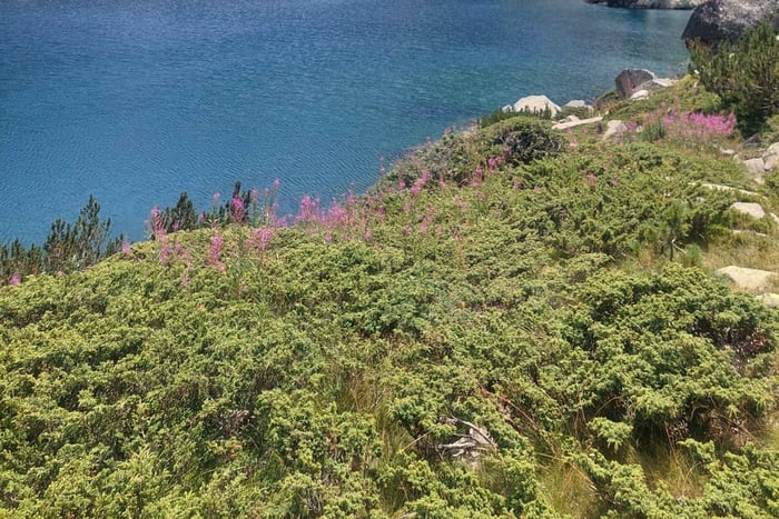 Sofia: Caminhada Fácil na Cordilheira de Pirin e Viagem Particular de um Dia a Bansko