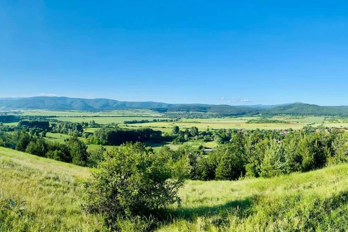 Sofia: The Beauty of the Countryside with a Homemade Lunch
