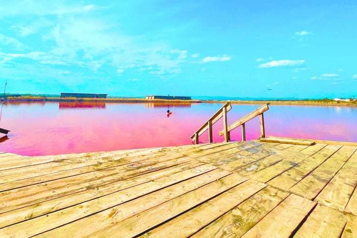 Sunny Beach: Salt Lakes and Mud Baths Excursion
