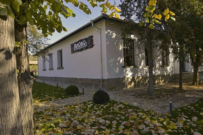 Veliko Tarnovo: Off-Road Jeep Adventure & 7-Wine Tasting