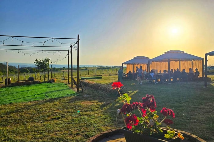 Veliko Tarnovo : dégustation de vin en plein air dans un vignoble à Arbanasi