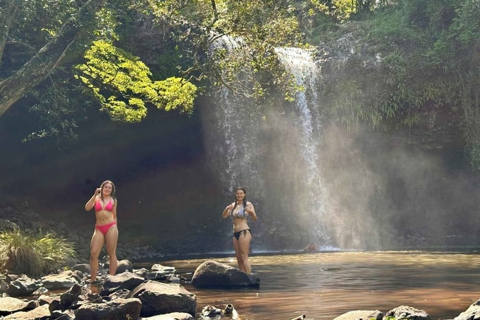 Byron Bay : demi-journée d'écotourisme aux cascades avec baignade et faune
