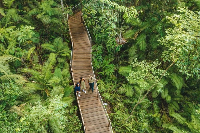 3-Day Daintree, Cape Tribulation & Port Douglas Tour