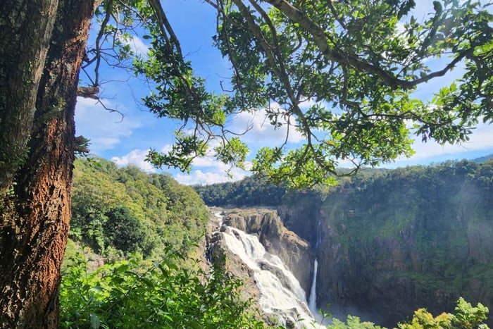3-Day Daintree, Kuranda, & Reef Tour + Accommodation