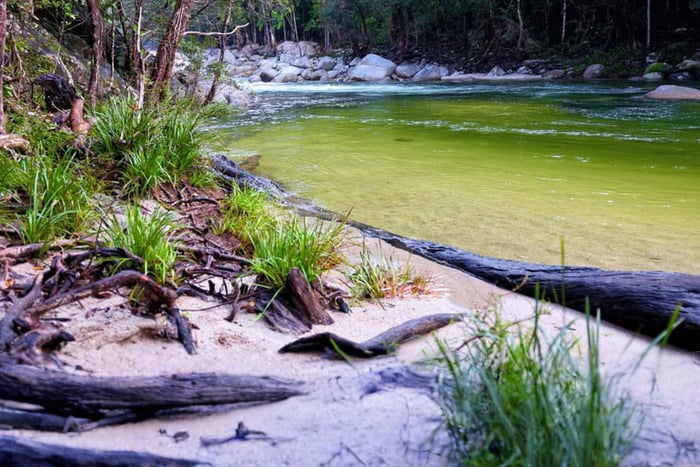 Tour guidato di 5 giorni in glamping tra gli indigeni Kuku Yalanji da Cairns