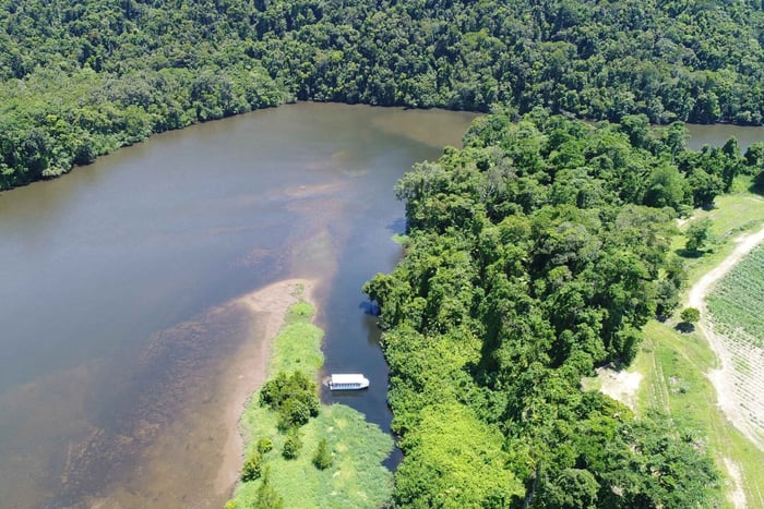Cairns: Daintree Rainforest Wildlife Experience -risteily