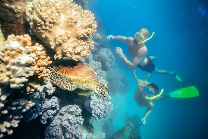 Cairns: Green Island, Snorkelling and Glass-Bottom Boat