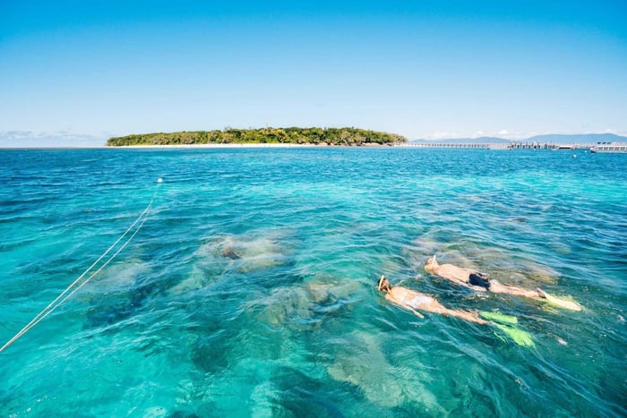 Cairns: snorklaus Green Islandilla tai lasipohjainen vene