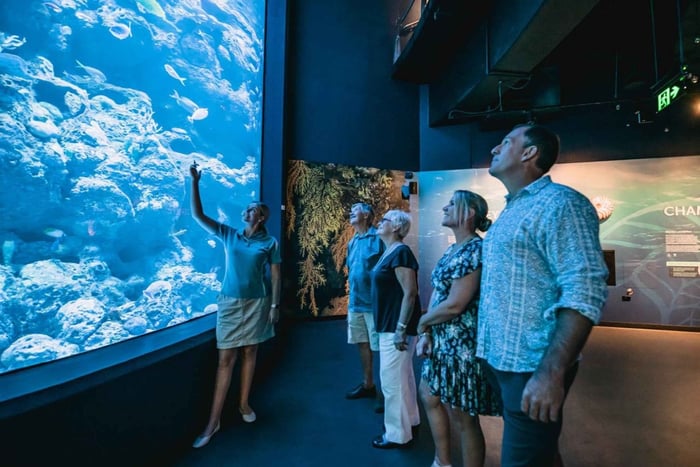 Cairns: Nachttour im Aquarium mit Führung