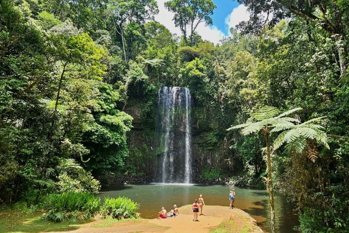 Cairns: Tour di Paronella, del lago Barrine e delle cascate Millaa Millaa