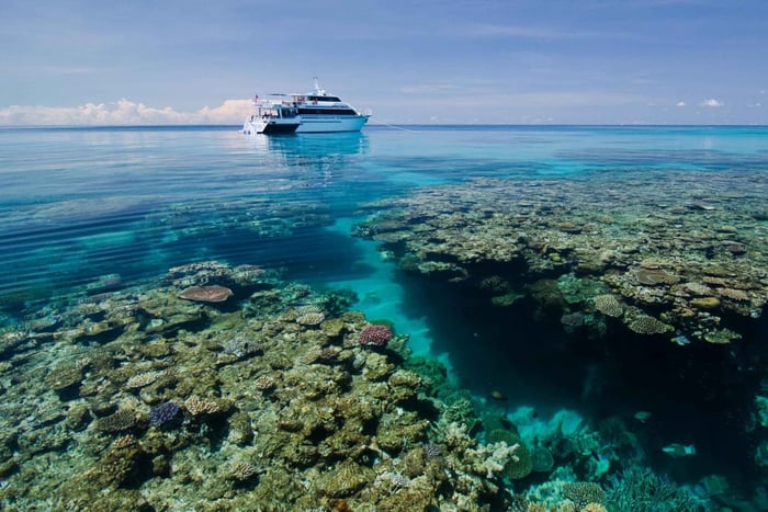 Cairns: Pro Dive 5 giorni per imparare a fare immersioni nella Grande Barriera Corallina