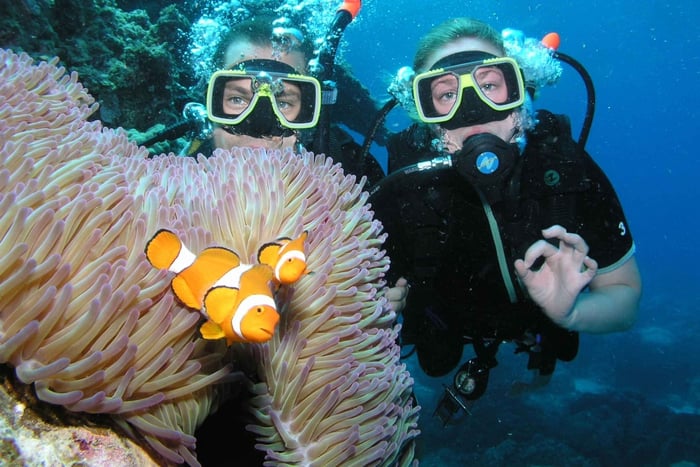 Cairns: Pro Dive Great Barrier Reef 3 dages/2 nætters dykkertur