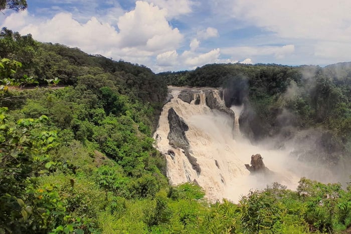 Cairns: Waterfall, Wetlands and Skyrail