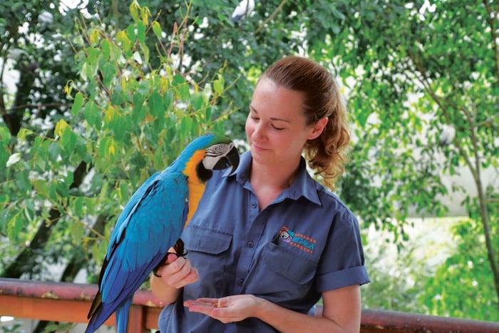 Paquete Amigos en la Selva: Jardines del Koala y Birdworld