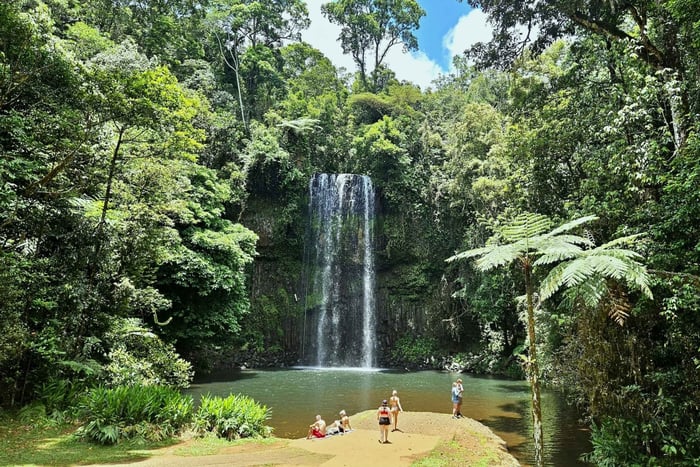 Fra Cairns: Dagsutflukt til Atherton Tablelands og Paronella Park