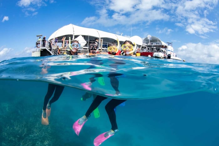 Ab Cairns: Ponton-Erlebnis am Great Barrier Reef