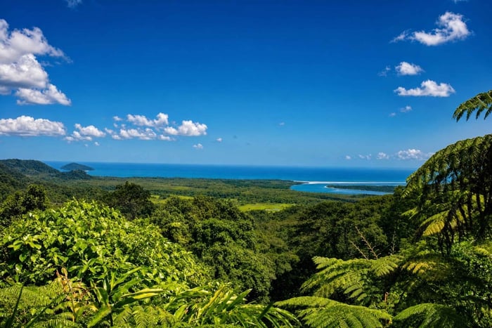 Heldagstur til Cape Tribulation med guide