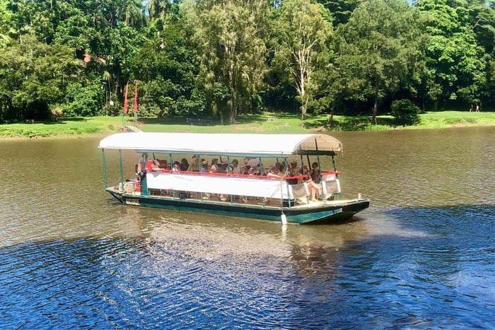 Kuranda: Flåttur