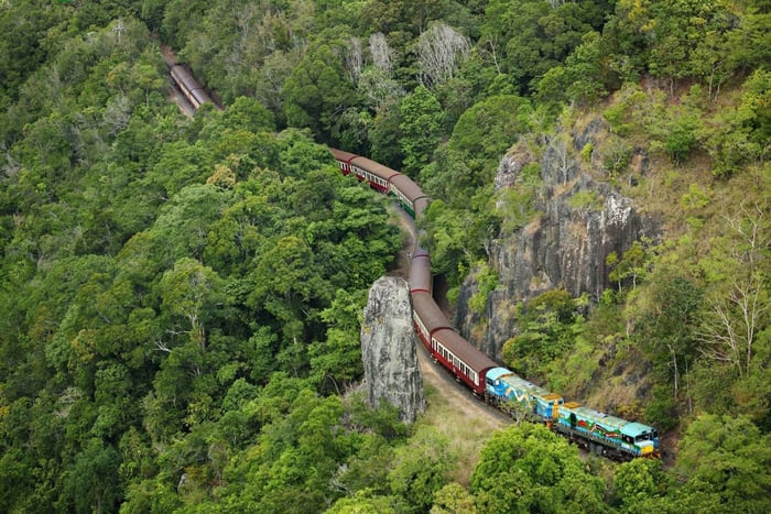 N. Queensland: Excursão de dia inteiro pela floresta tropical de Kuranda