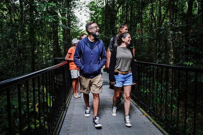 Port Douglas: Ettermiddagstur i Daintree med dyrelivscruise