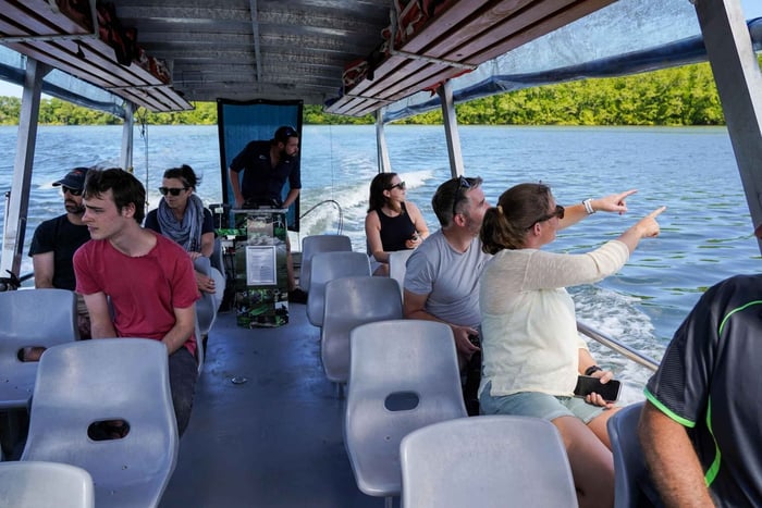 Port Douglas: Daintree Tour w/ Wildlife Cruise: Aamupäivän Daintree Tour w/ Wildlife Cruise
