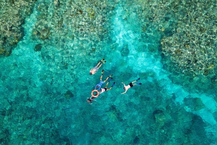 gita di 1 giorno con snorkeling e immersioni premium nella barriera corallina
