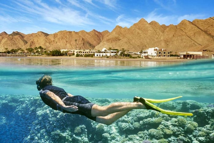 Le Caire : Excursion d'une journée à la mer Rouge avec déjeuner