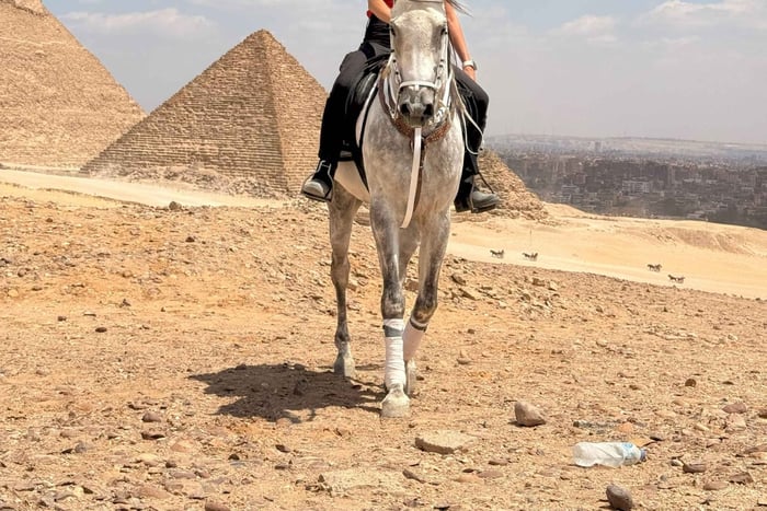Kairo: Ridtur vid pyramiderna i Giza